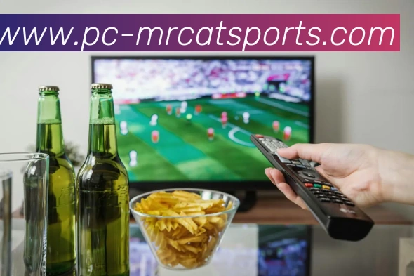 多媒体互动体验