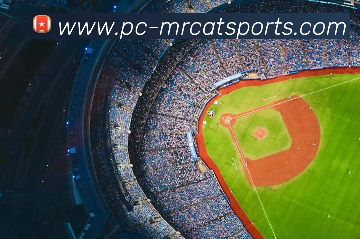 体育下注APP 高清赛事图