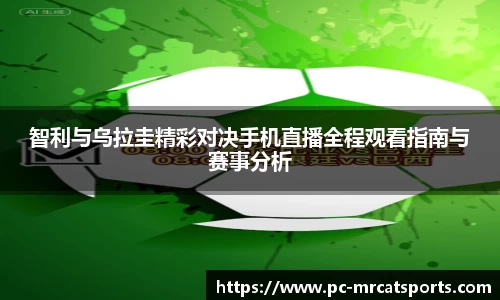 MRCAT猫先生体育